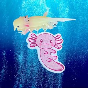 FLORALalotl Axolotl Crazy Trending WaterProof Single Decor Accent Sticker
